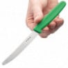 Kniv för gröna tomater med tandad klinga 10 cm - Hygiplas - Fourniresto
