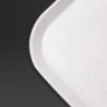 Platta självbetjäning i ljusgrått glasfiber 355 x 460 mm - Olympia KRISTALLON - Fourniresto
