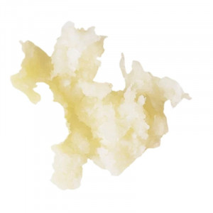 Rivskiva Pepparrot 1 mm - Robot-Coupe