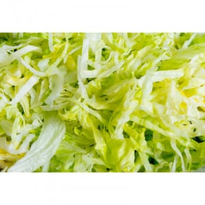 Disque à Râper 3 mm pour Coupe-Légumes Electrique - Dynamic