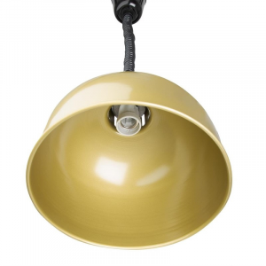 Retractable Golden Dome Heating Lamp - Buffalo