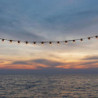 Connectable Outdoor String Light with Filament Bulb - Link Me Light - Lumisky