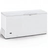 Professional Chest Freezer - 600 L - Refurbished