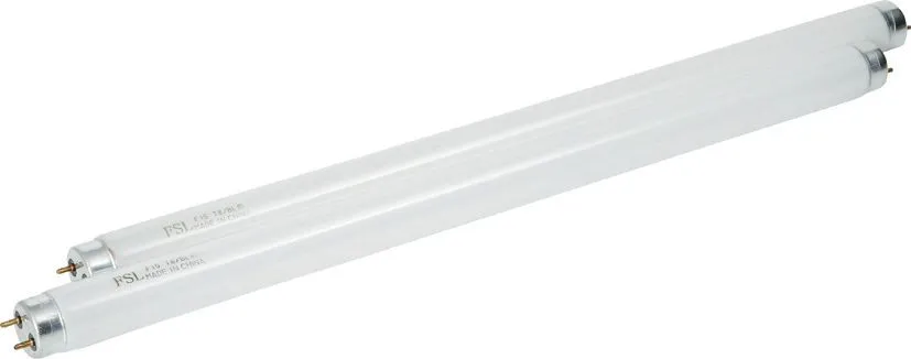 Vaihtoneon kärpäsloukkuun