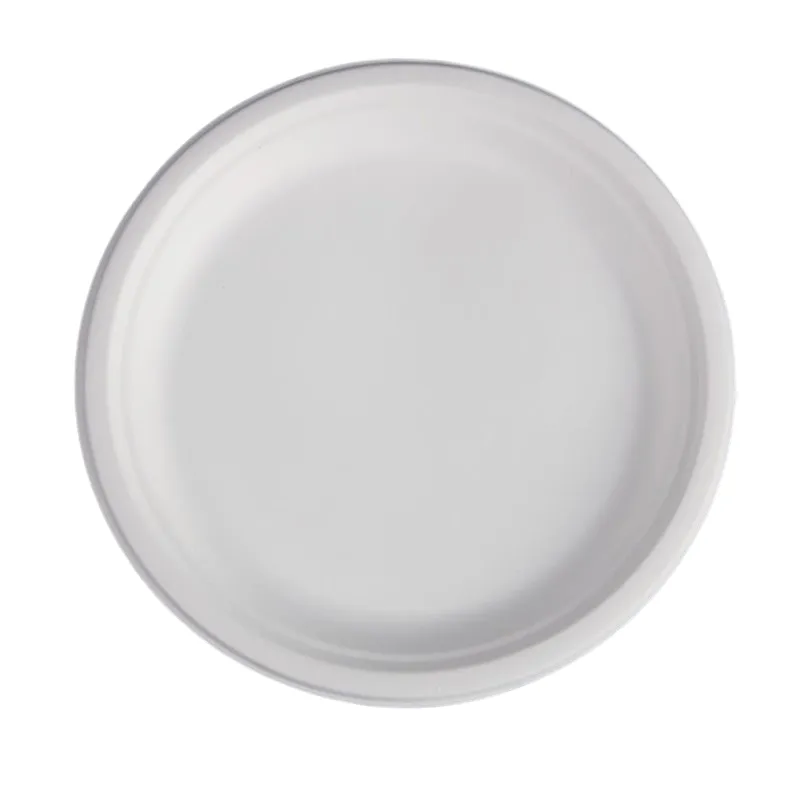 Pyöreät Bagasse-lautaset - 26,1 cm - 50 kpl pakkaus