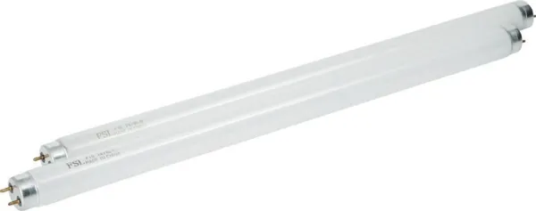 Vaihtoneon kärpäsloukkuun